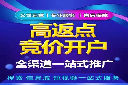 百度广告投放技巧与案例分享